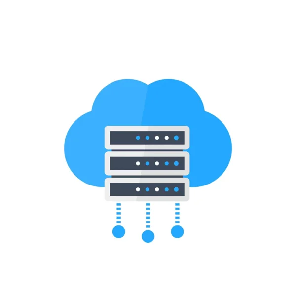 Professional Web Hosting Service